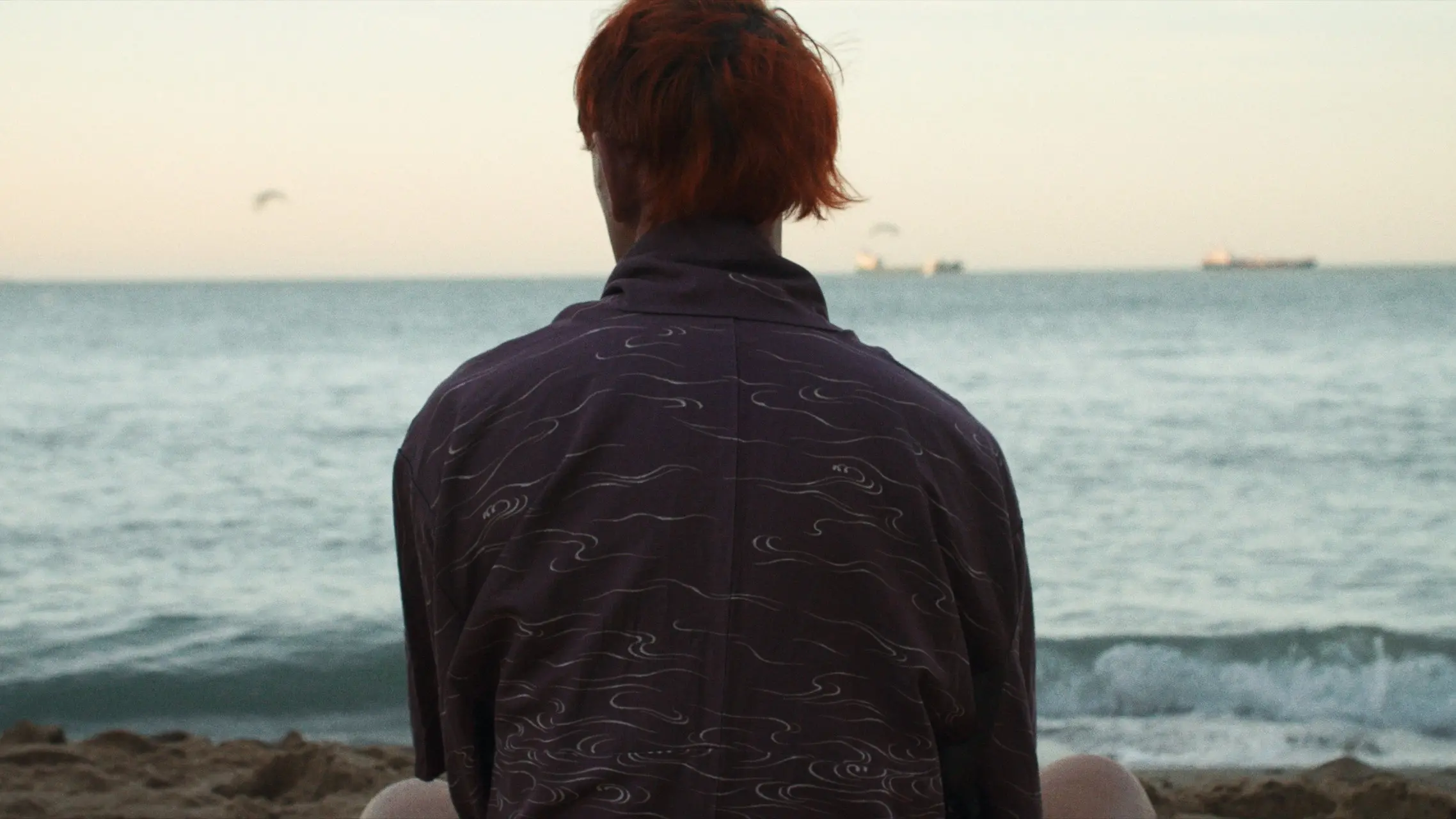 Howls to the Harbour backdrop