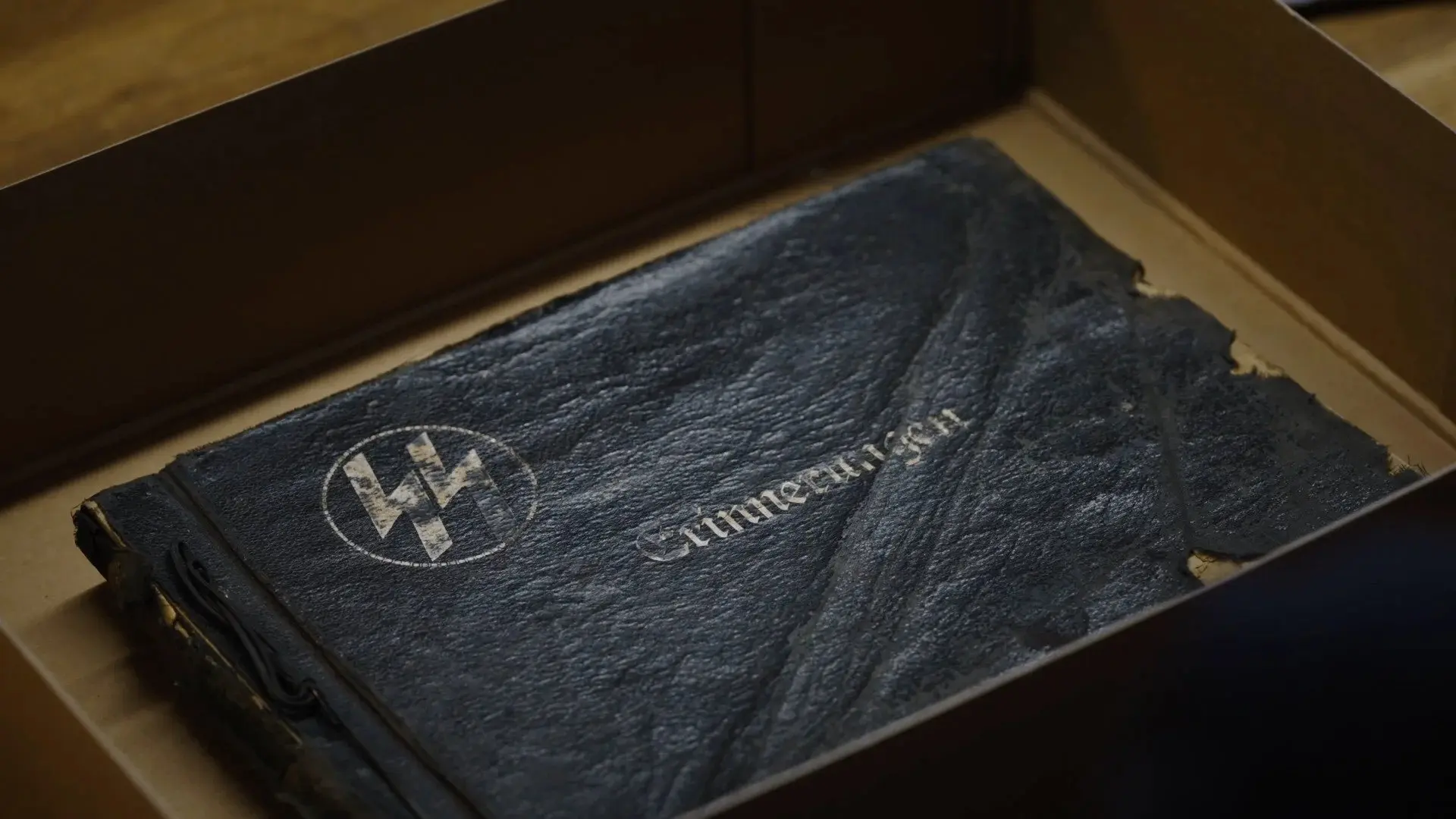 The Lost Album of the SS backdrop