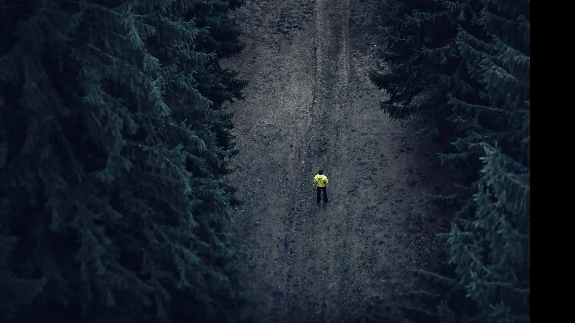 Where Murder Lies backdrop