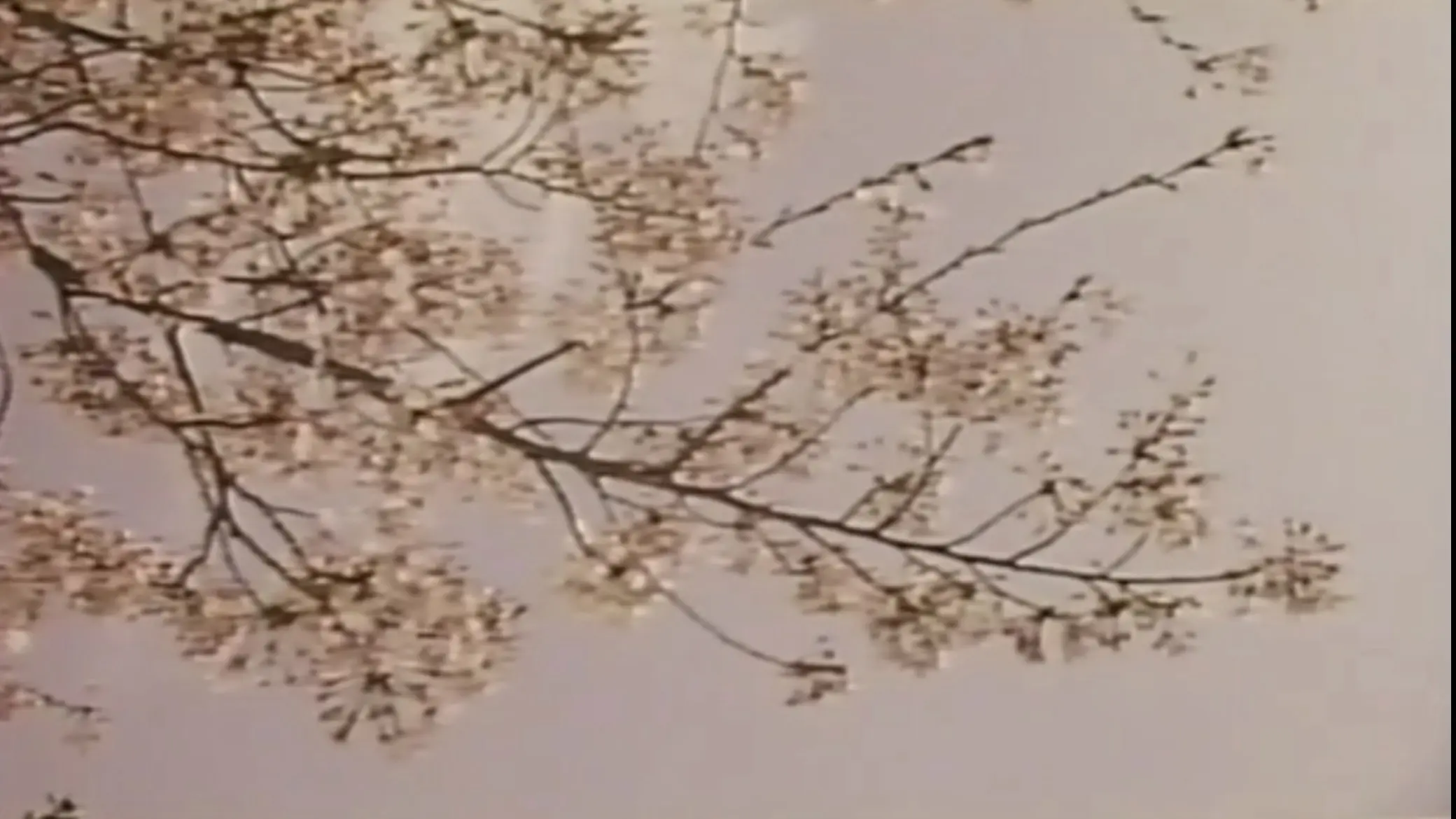 Wakaoku-sama: Futomono-biraki backdrop