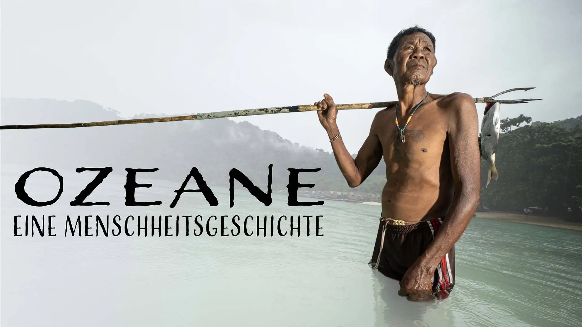 Ozeane. Eine Menschheitsgeschichte backdrop