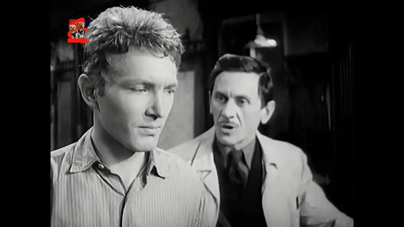 Saint Elizabeth Square backdrop