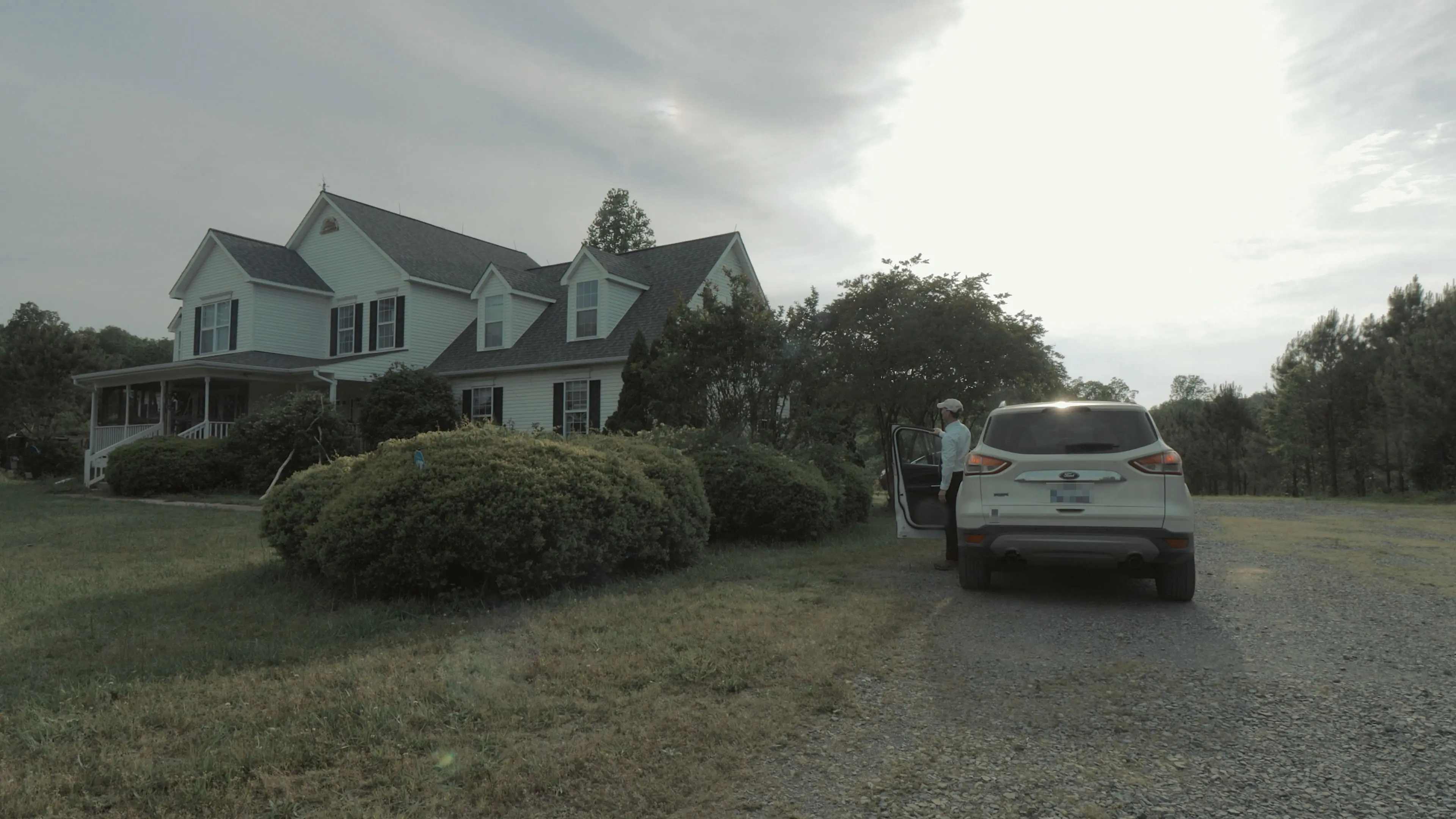 Fist of the Punching Fist! backdrop