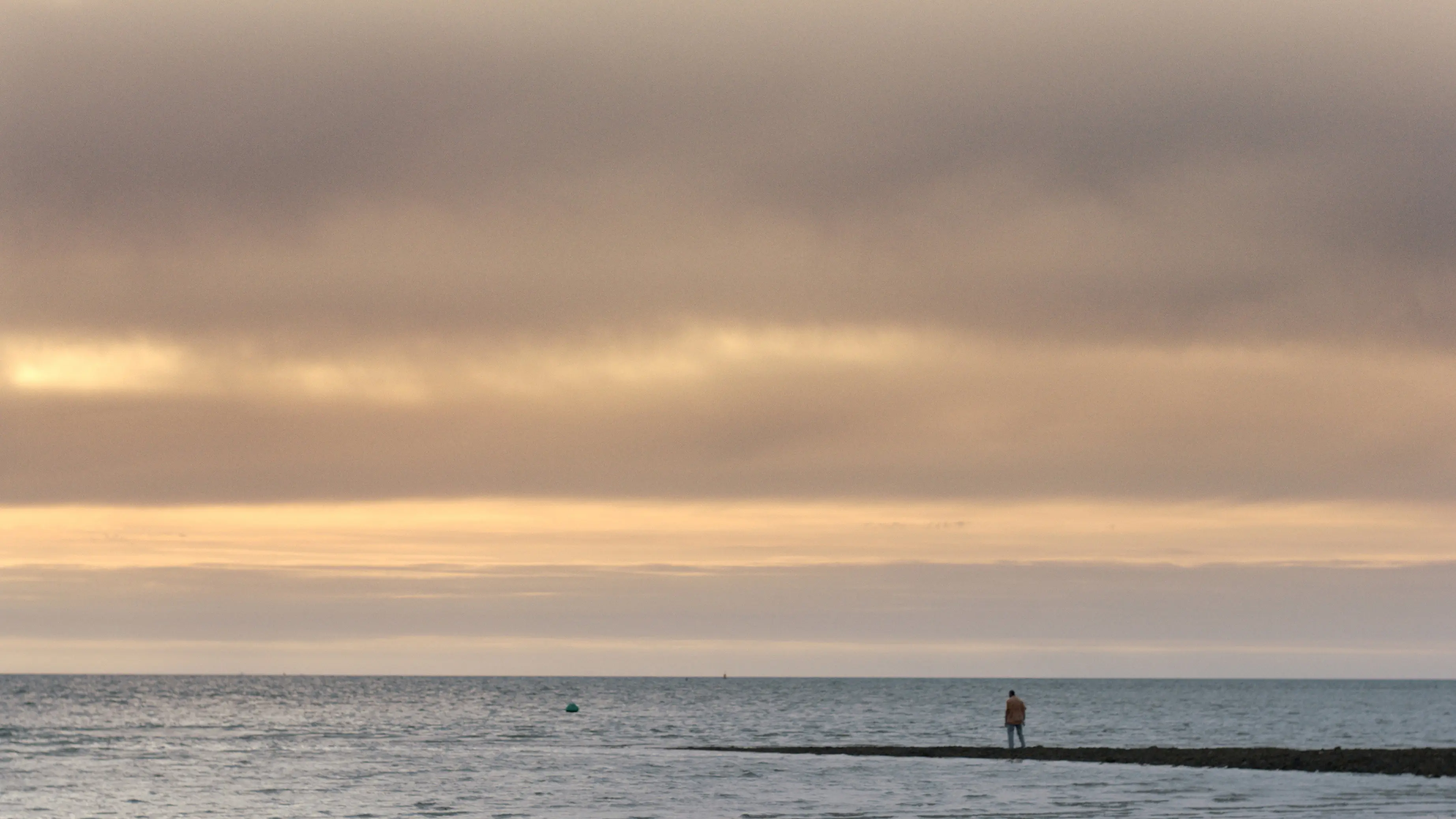 Sharks in Colwyn Bay backdrop