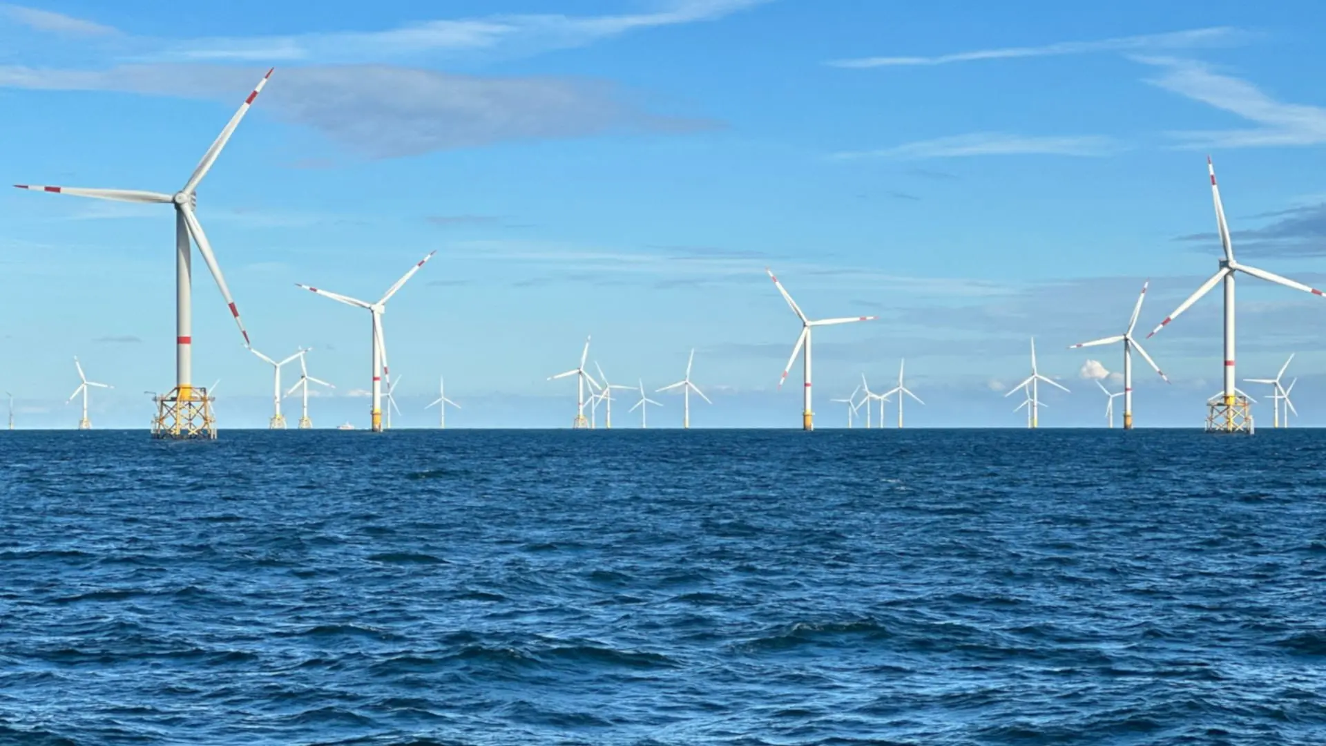 Windparks im Meer - Chance oder Risiko für die Natur? backdrop