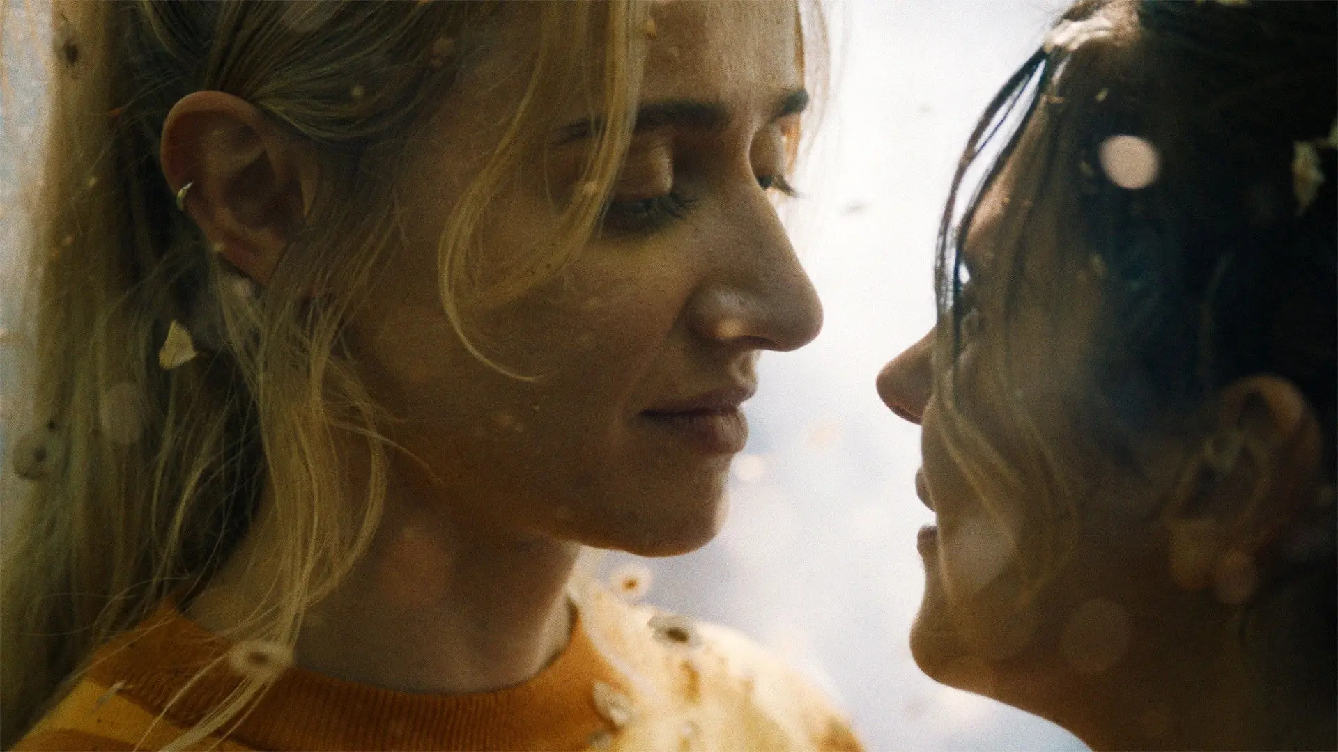 Explosions in the Heart backdrop