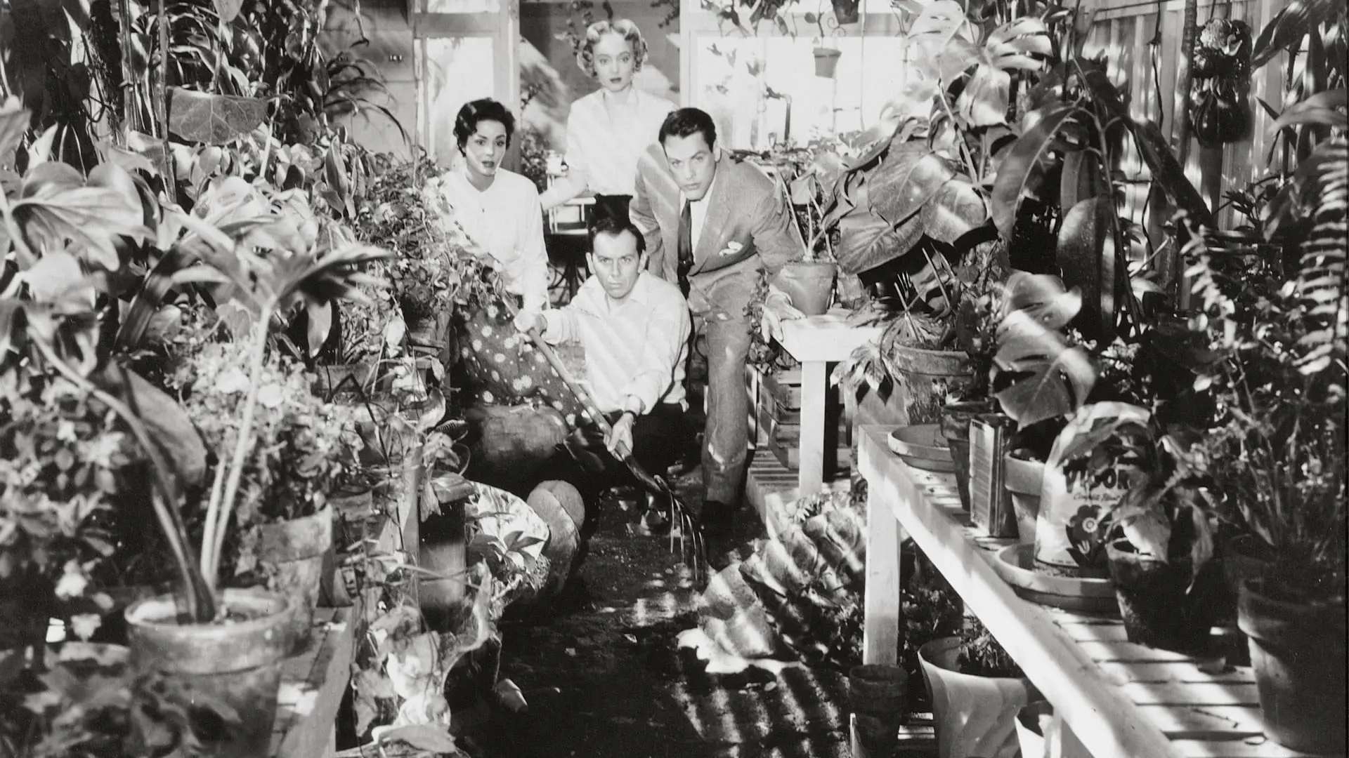 Invasion of the Body Snatchers backdrop