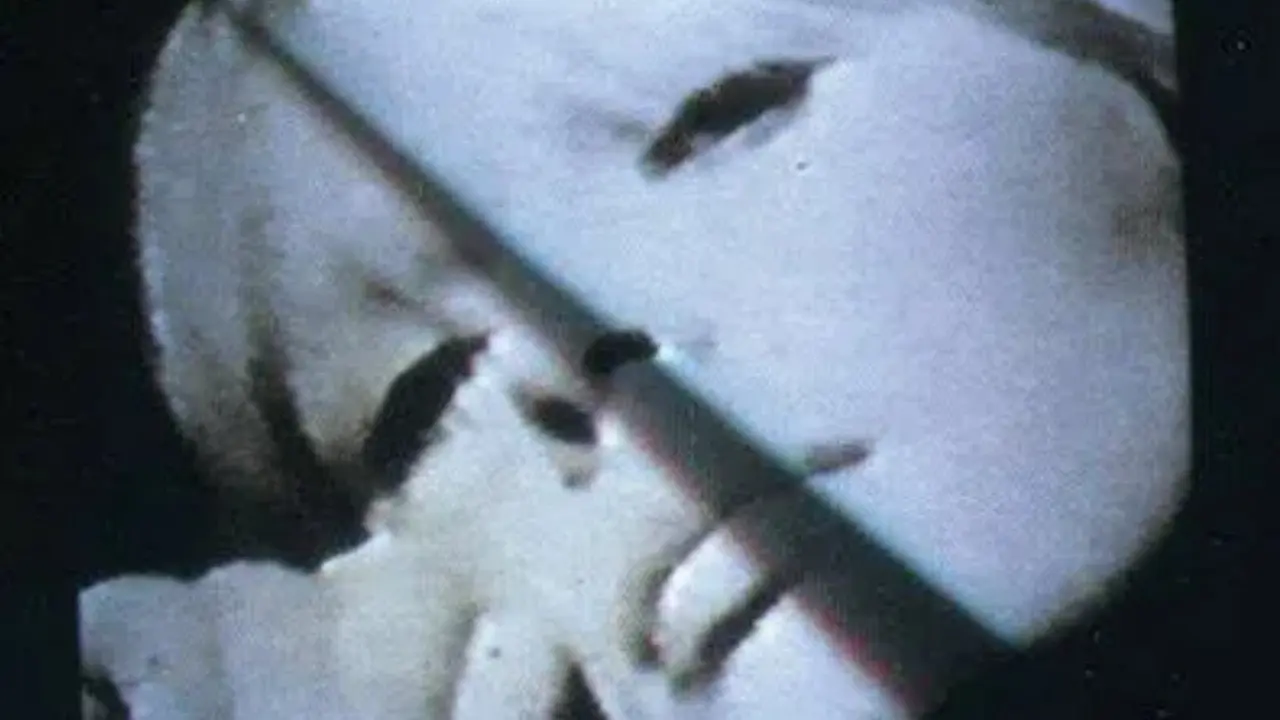 Nico: In Memoriam backdrop