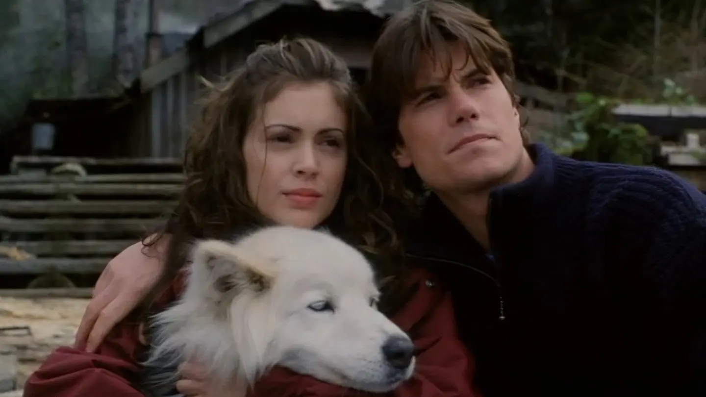 To Brave Alaska backdrop