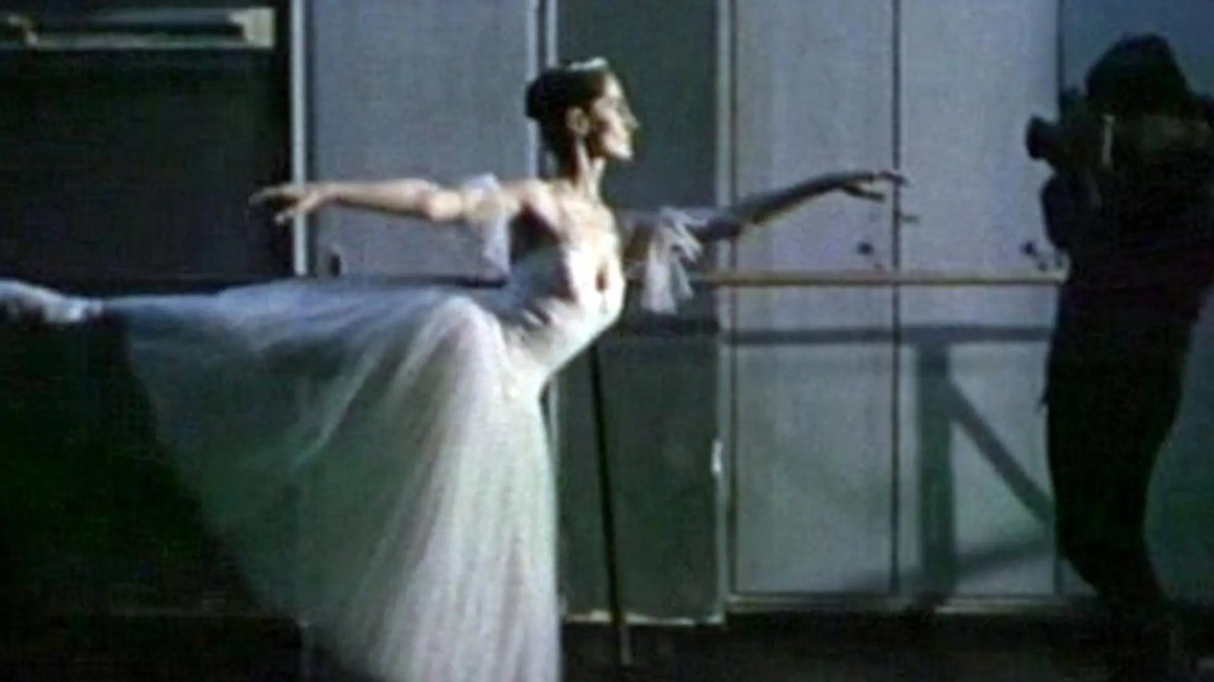 The Black Swans backdrop