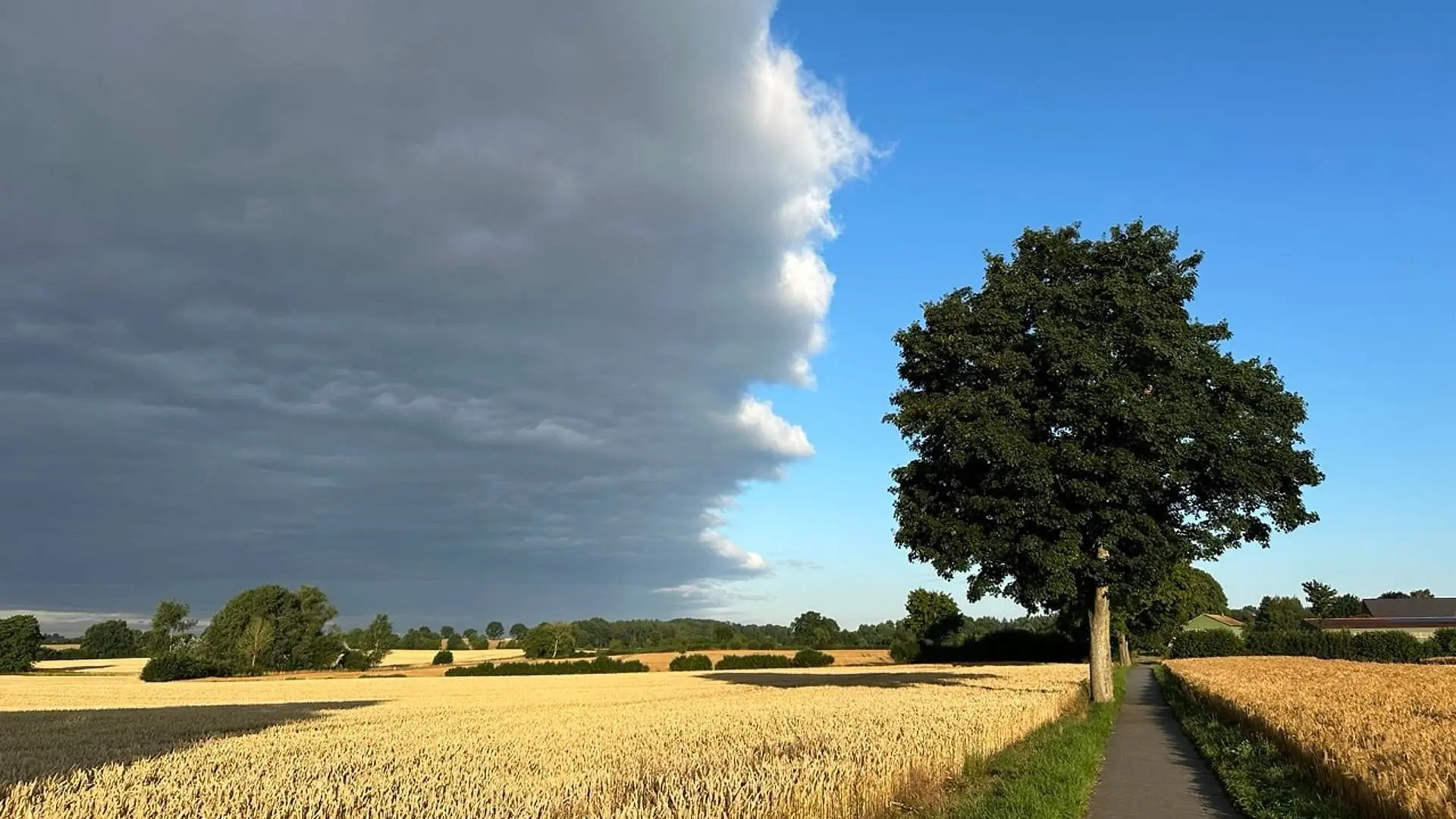 Extreme Weather: Drought and Heavy Rain backdrop