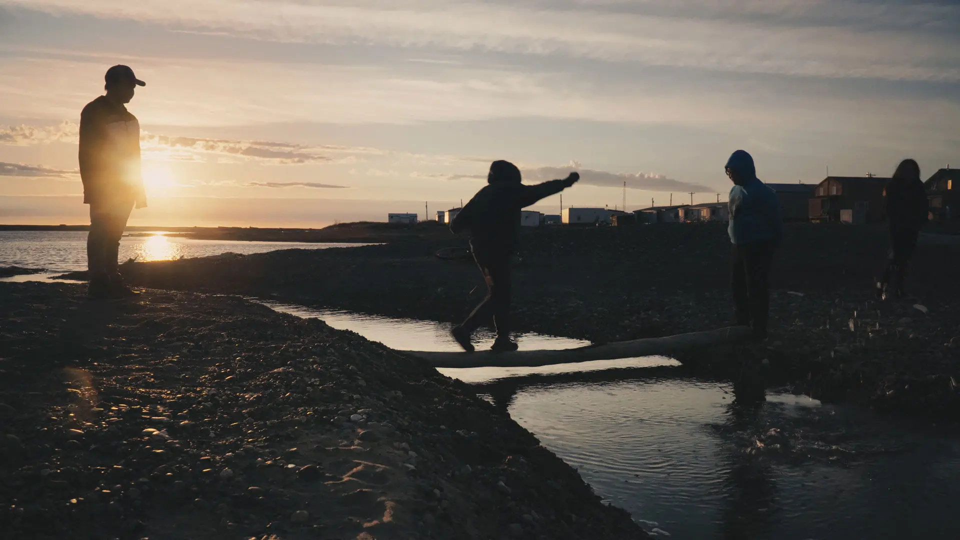 Arctic Summer backdrop