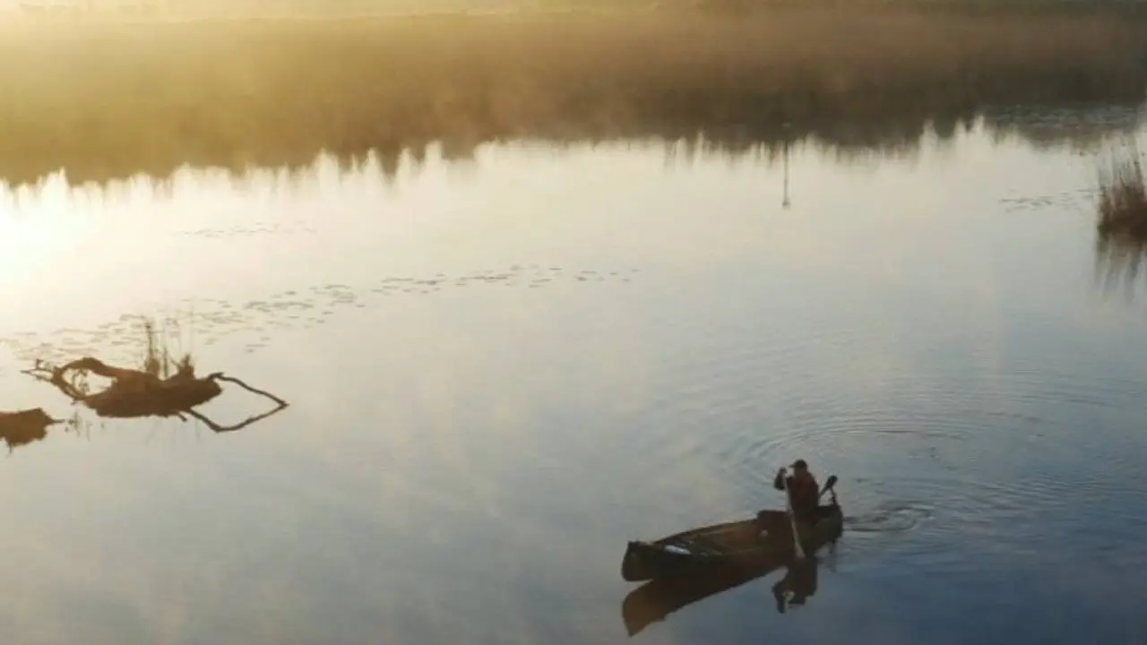 Levende Rivier backdrop