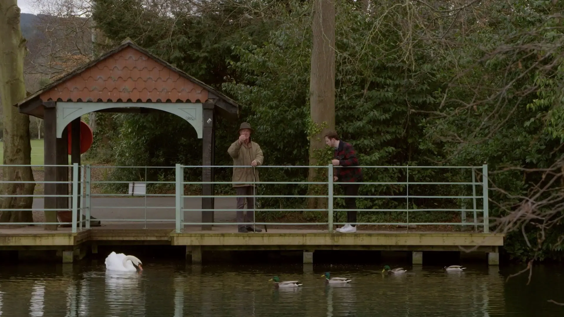 Meeting My Grandad backdrop