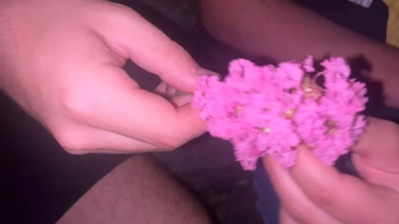 Jordageddon backdrop