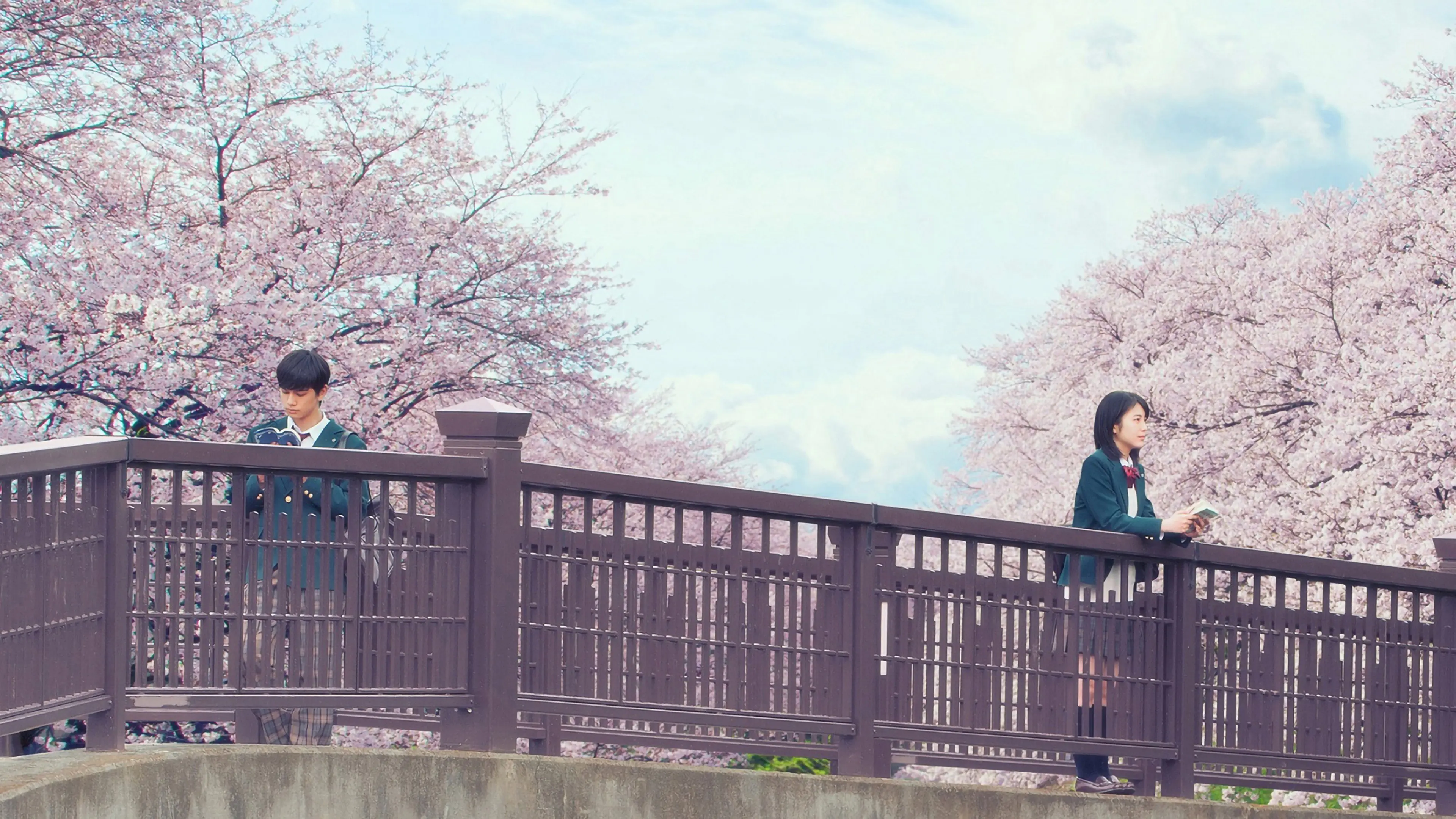 Let Me Eat Your Pancreas backdrop