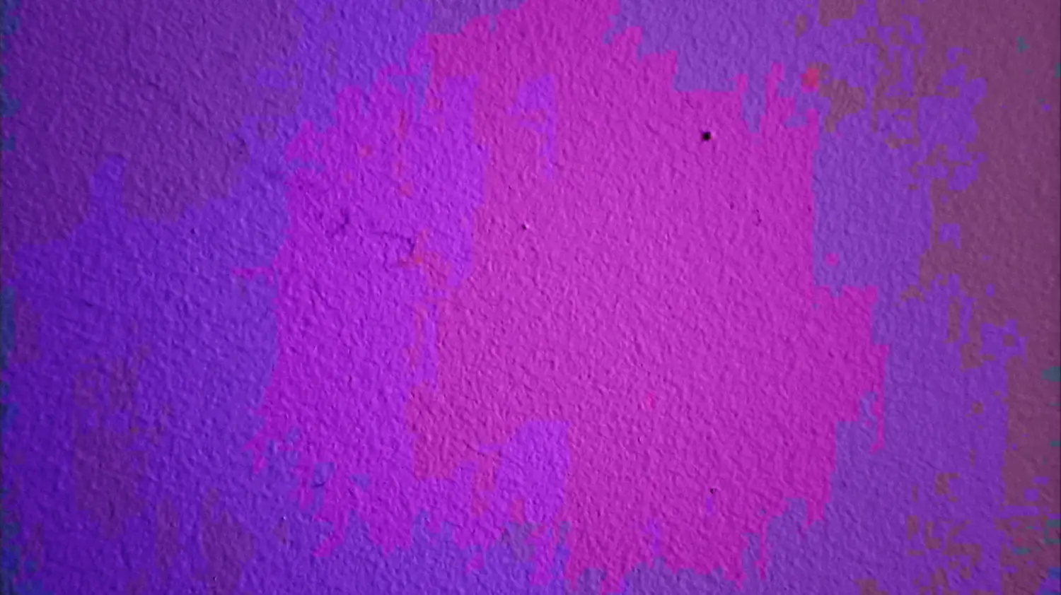 a tiny bug crawls across a wall backdrop