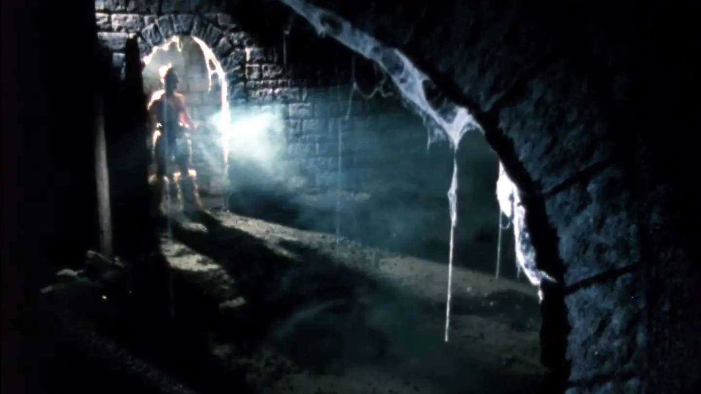 Zyzak Is King backdrop