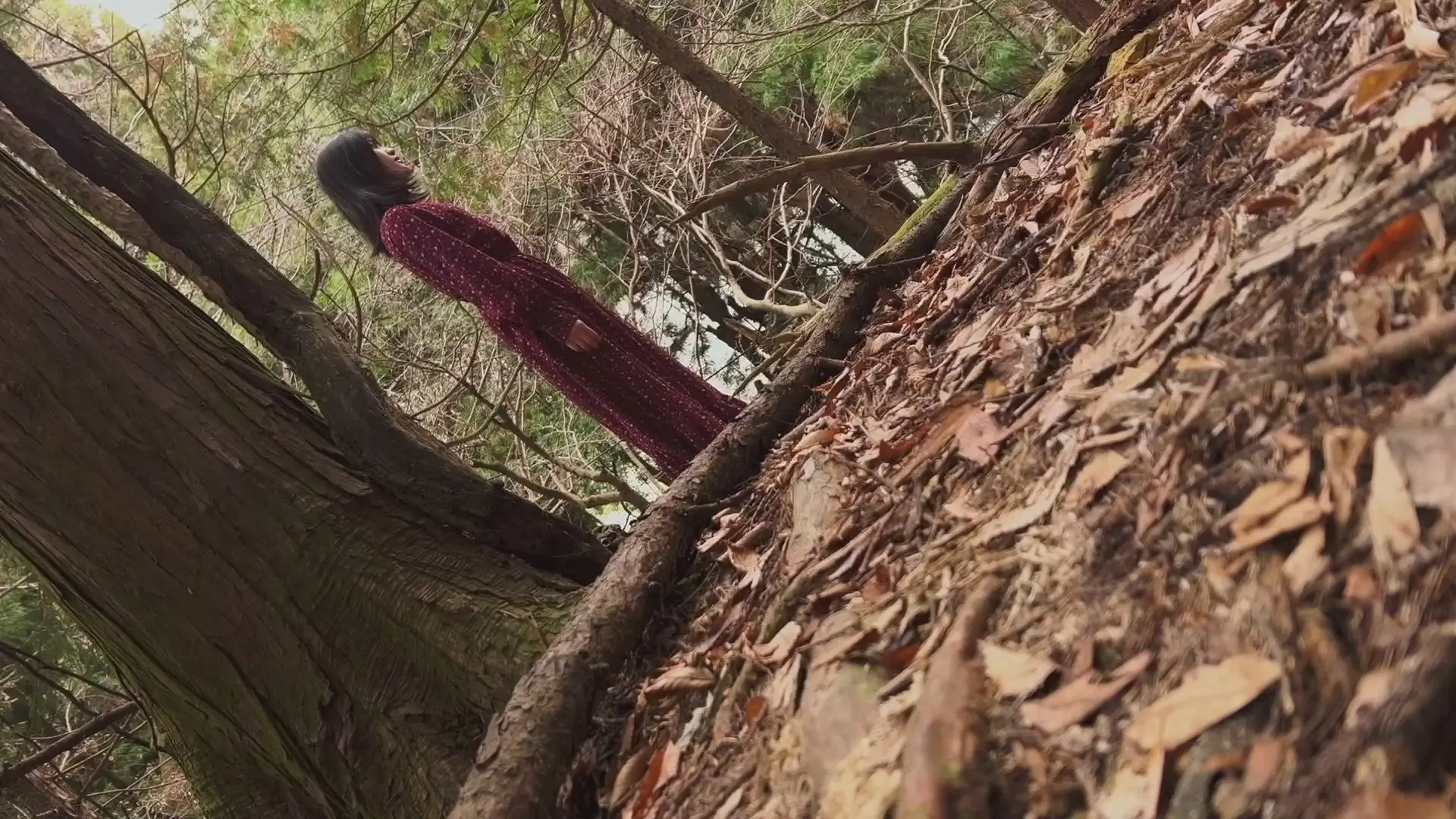 Koji Shiraishi's Never Send Me, Please backdrop