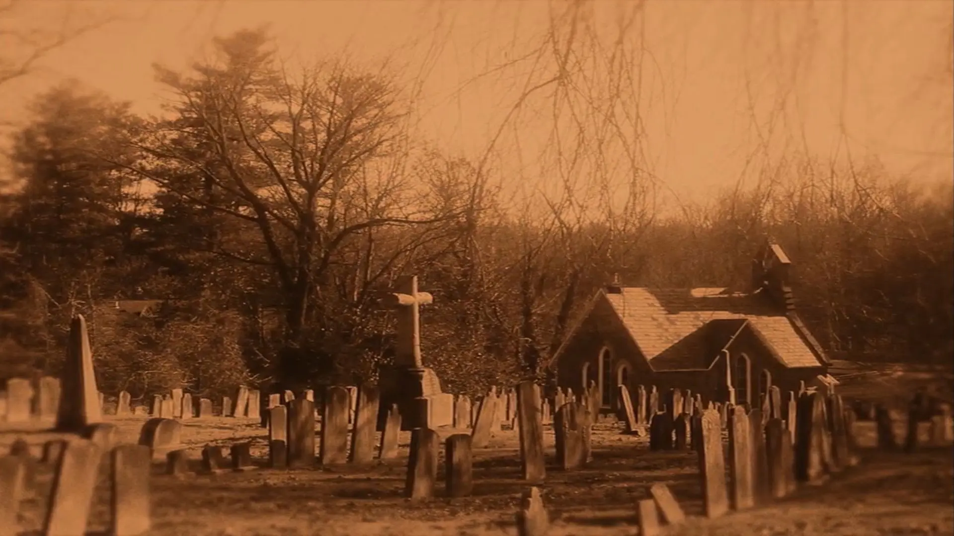 Garden Of Souls backdrop