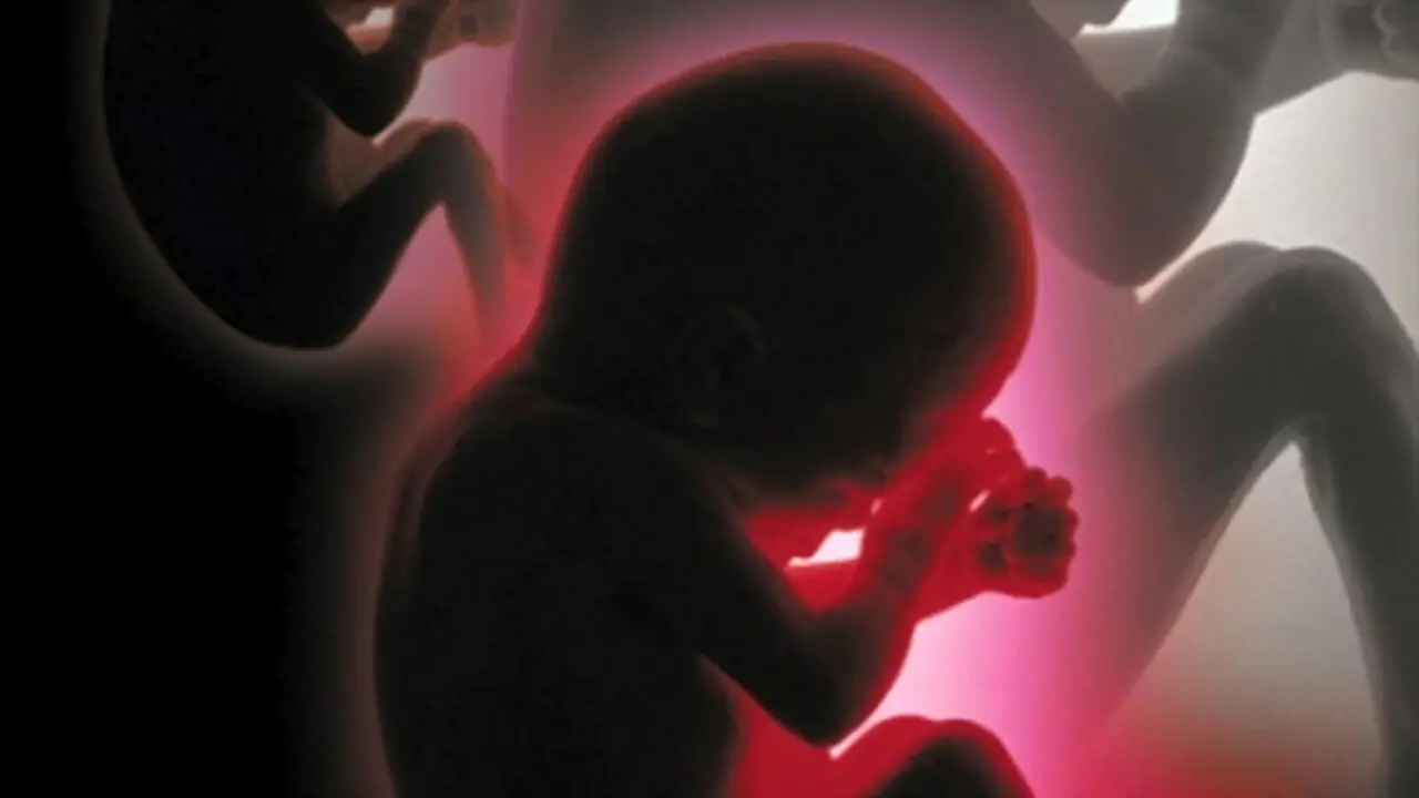 Proyecto Cassandra backdrop