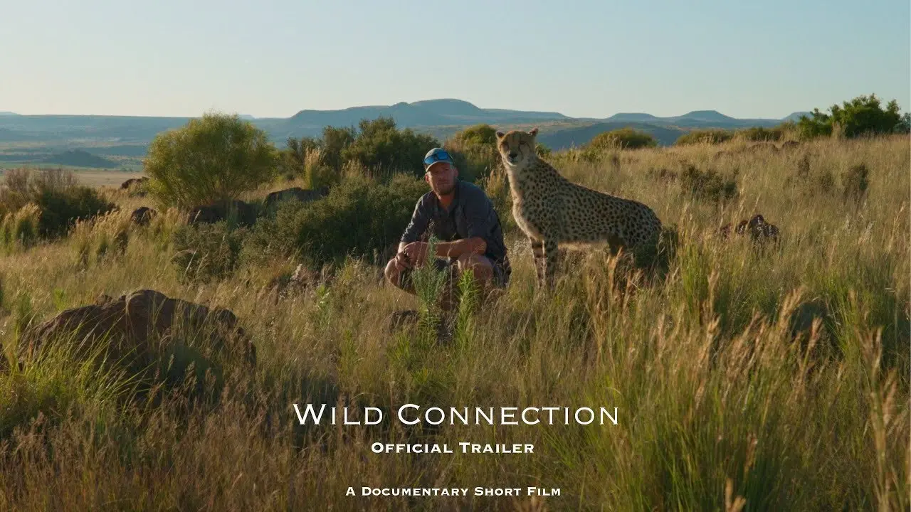 Wild Connection backdrop