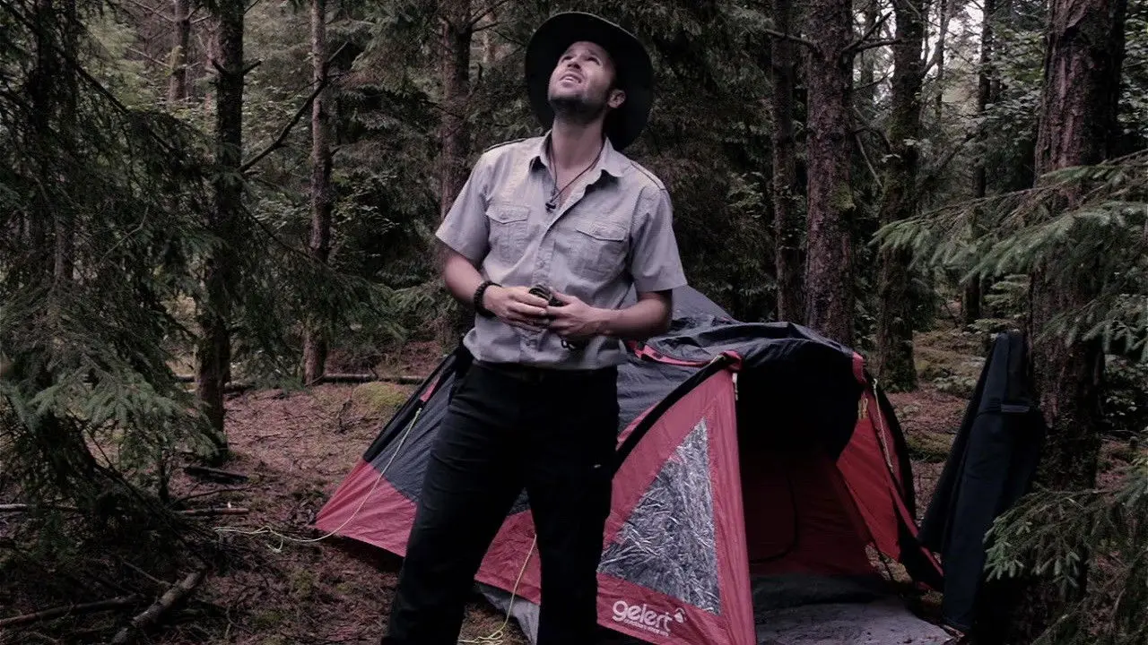 Territorial Behavior backdrop