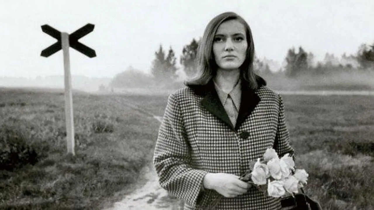 Pimedad aknad backdrop