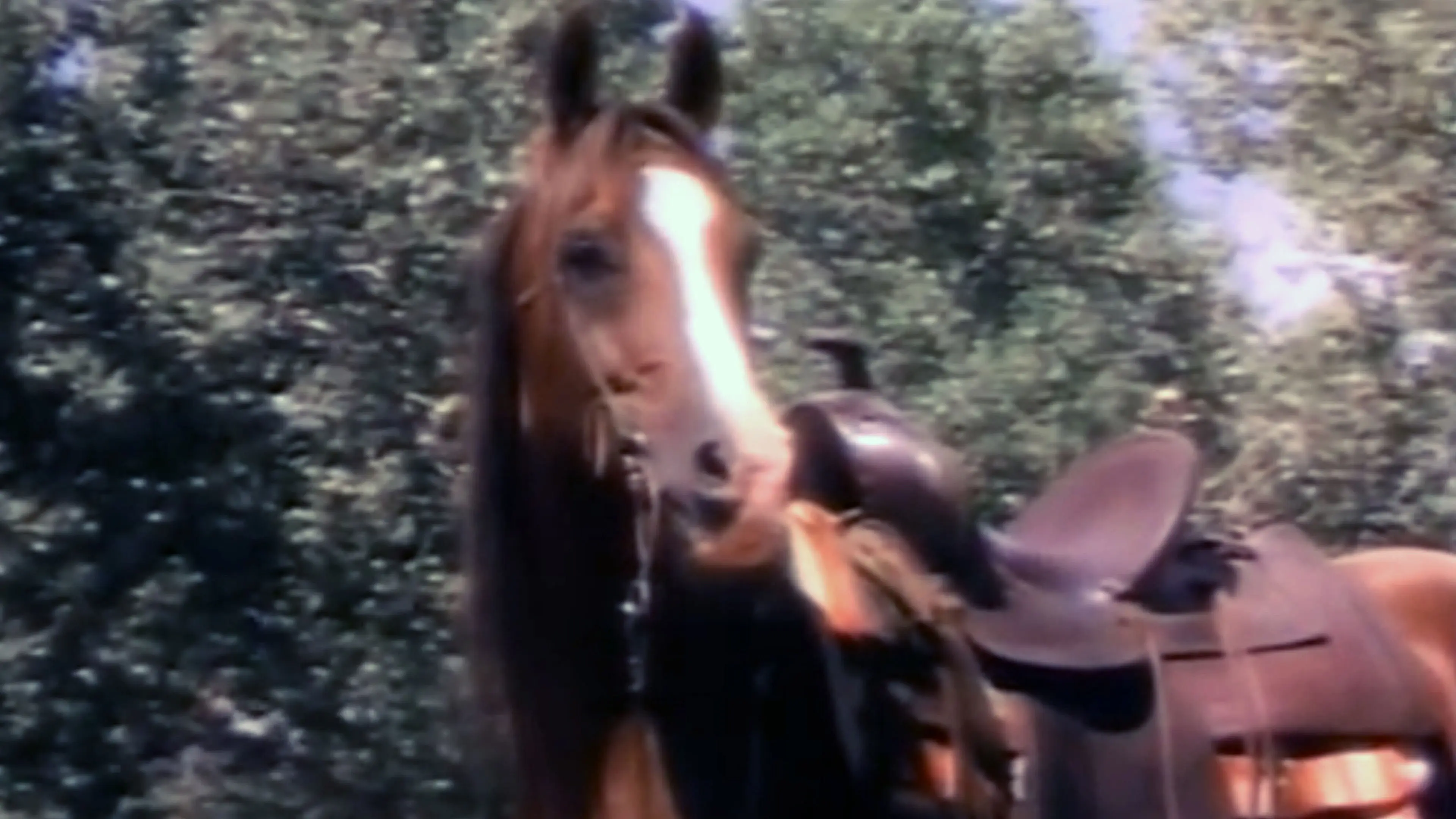 The Red Fury backdrop