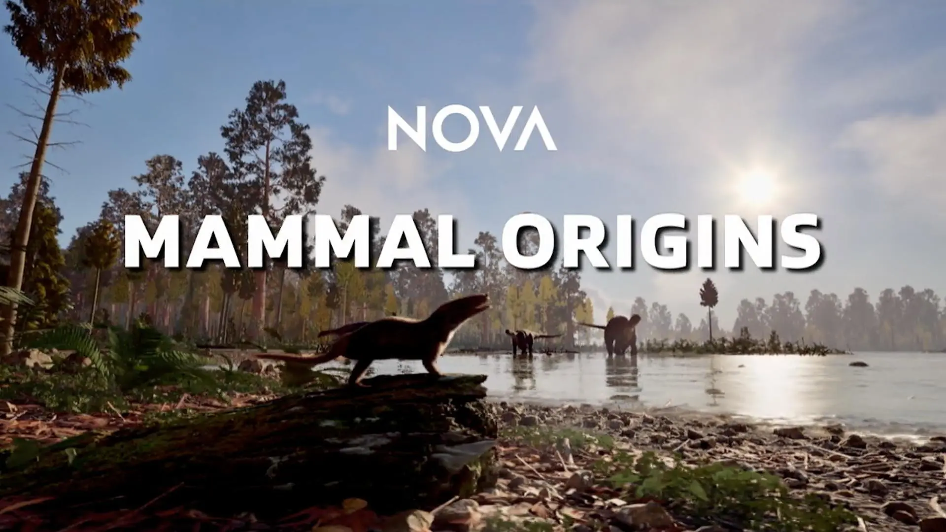 Mammal Origins backdrop