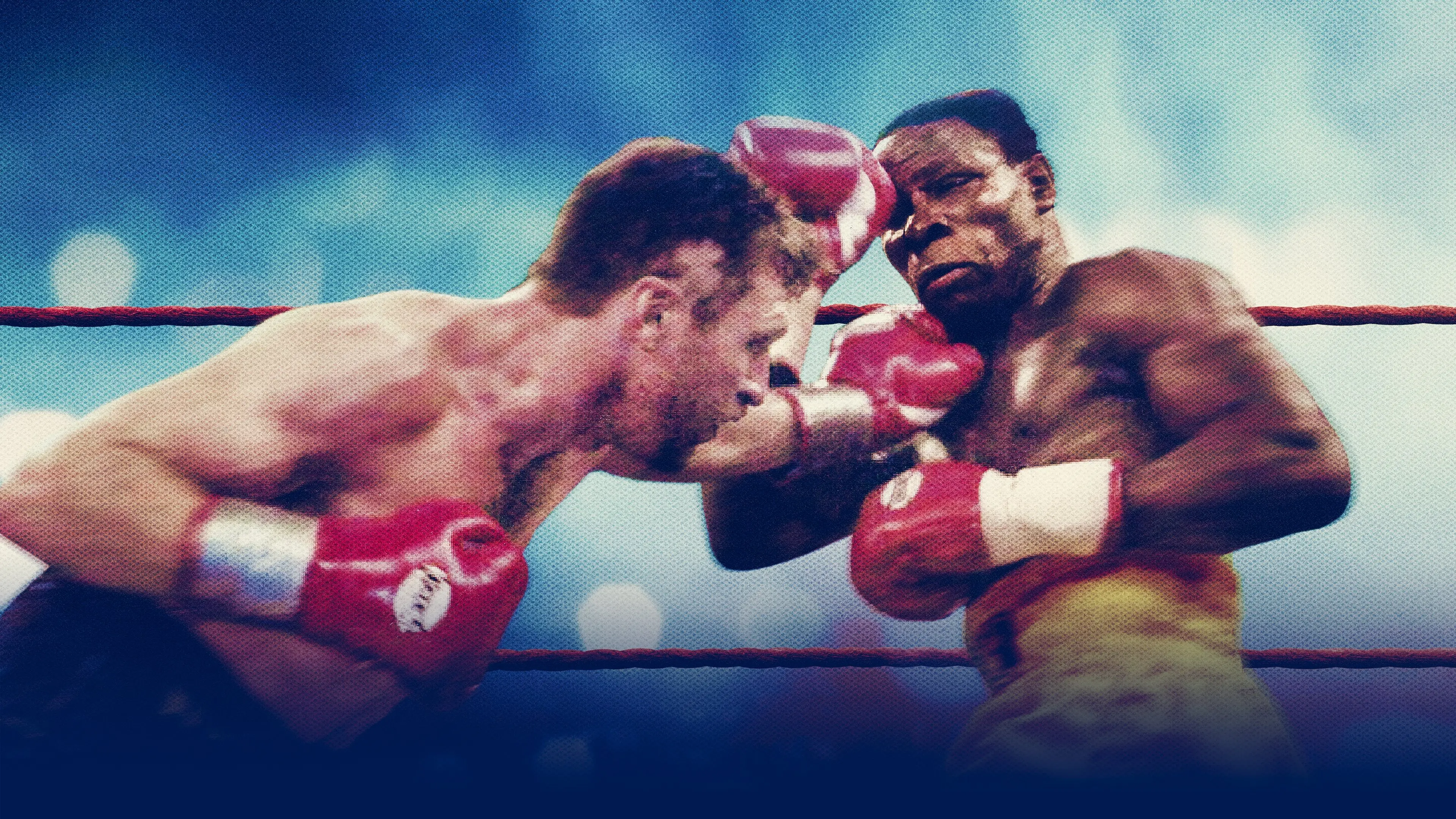 One Night in Millstreet backdrop