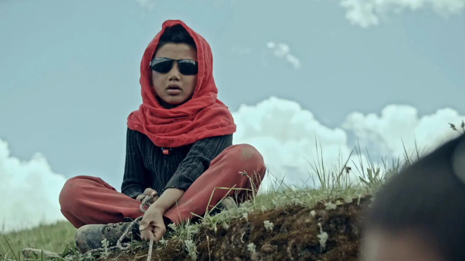 The Boys and the Donkey backdrop