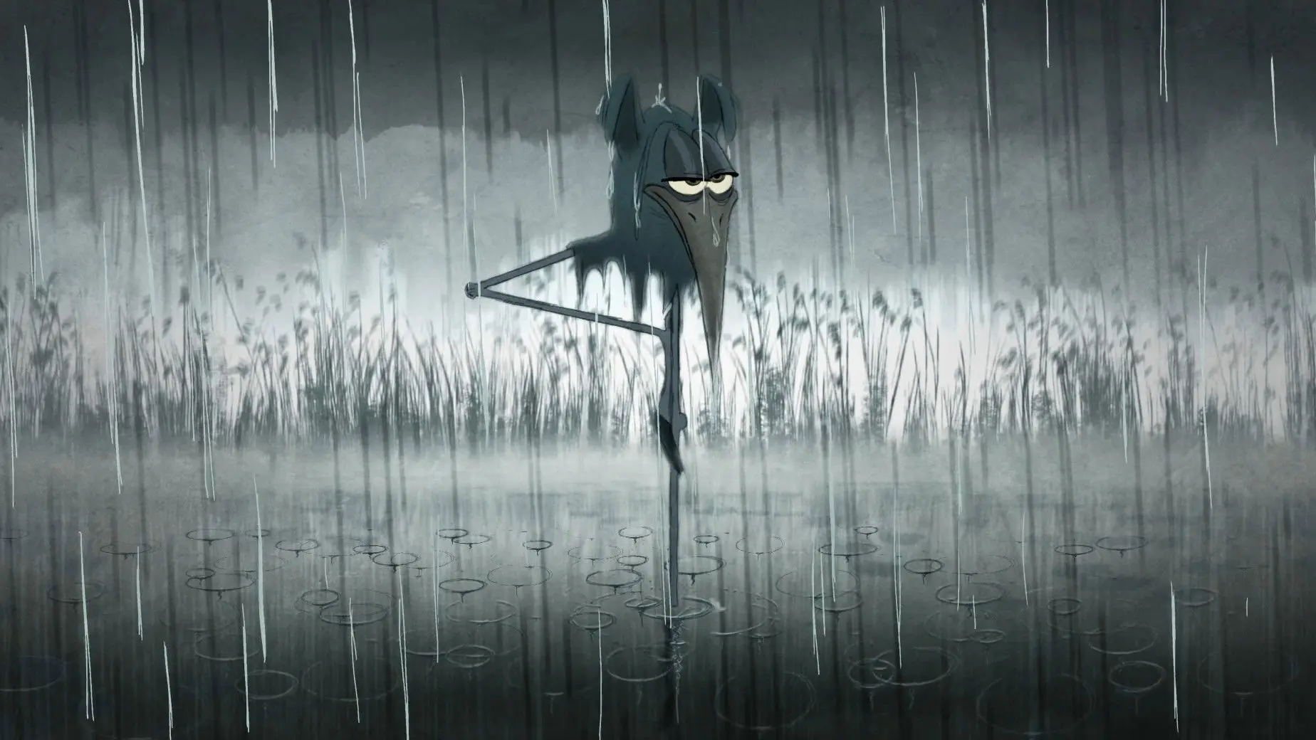 Bird Karma backdrop
