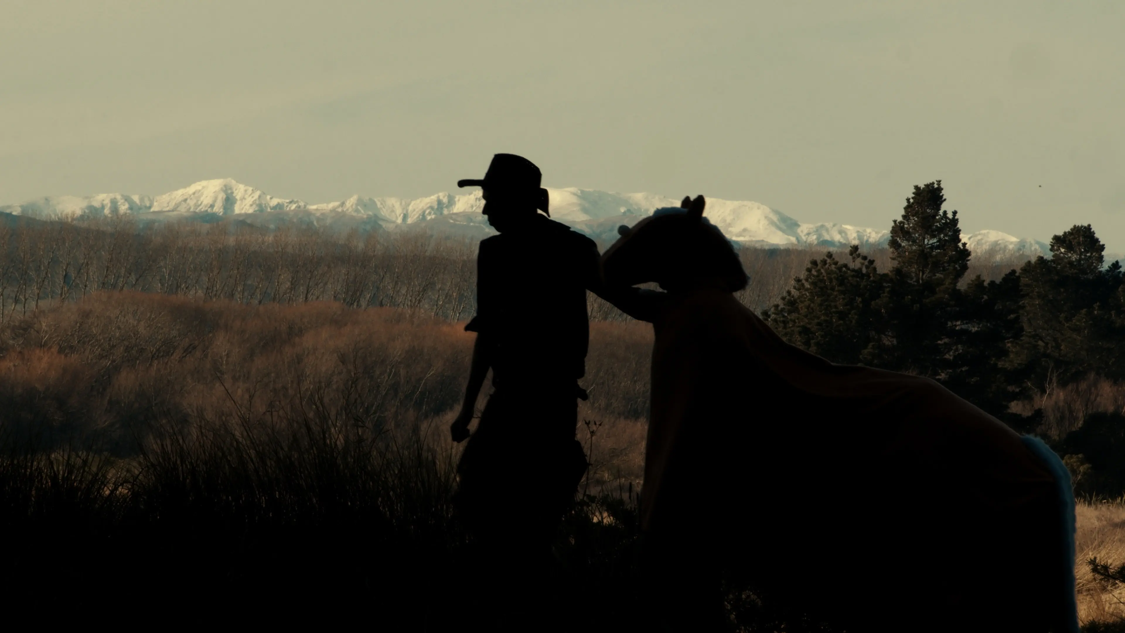 The True Story of Billy the Horse backdrop