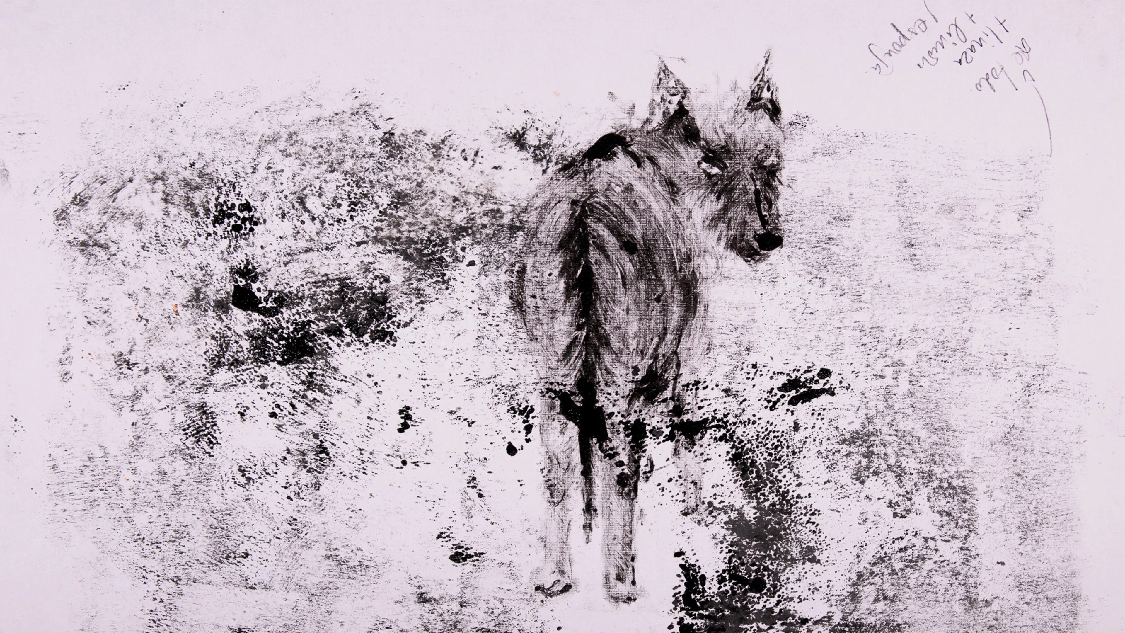 decay backdrop