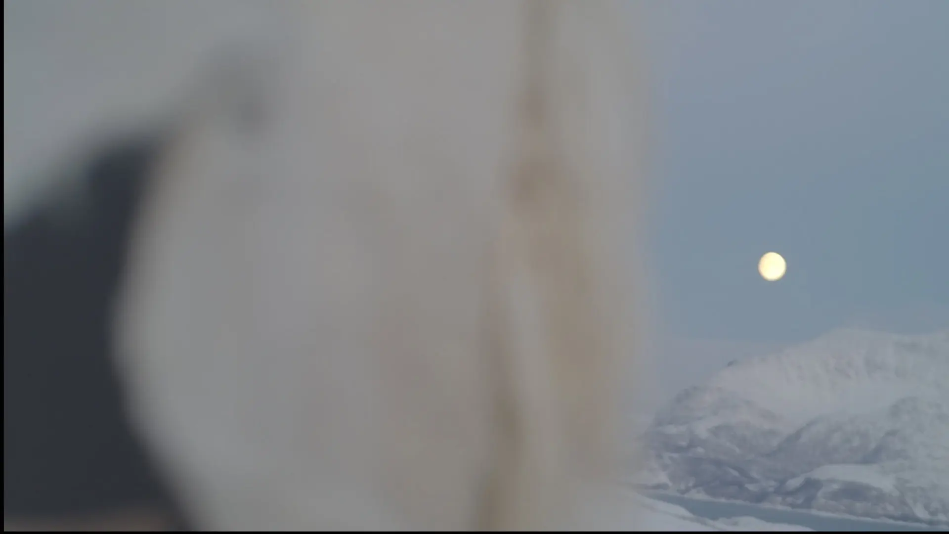 Ullguden backdrop