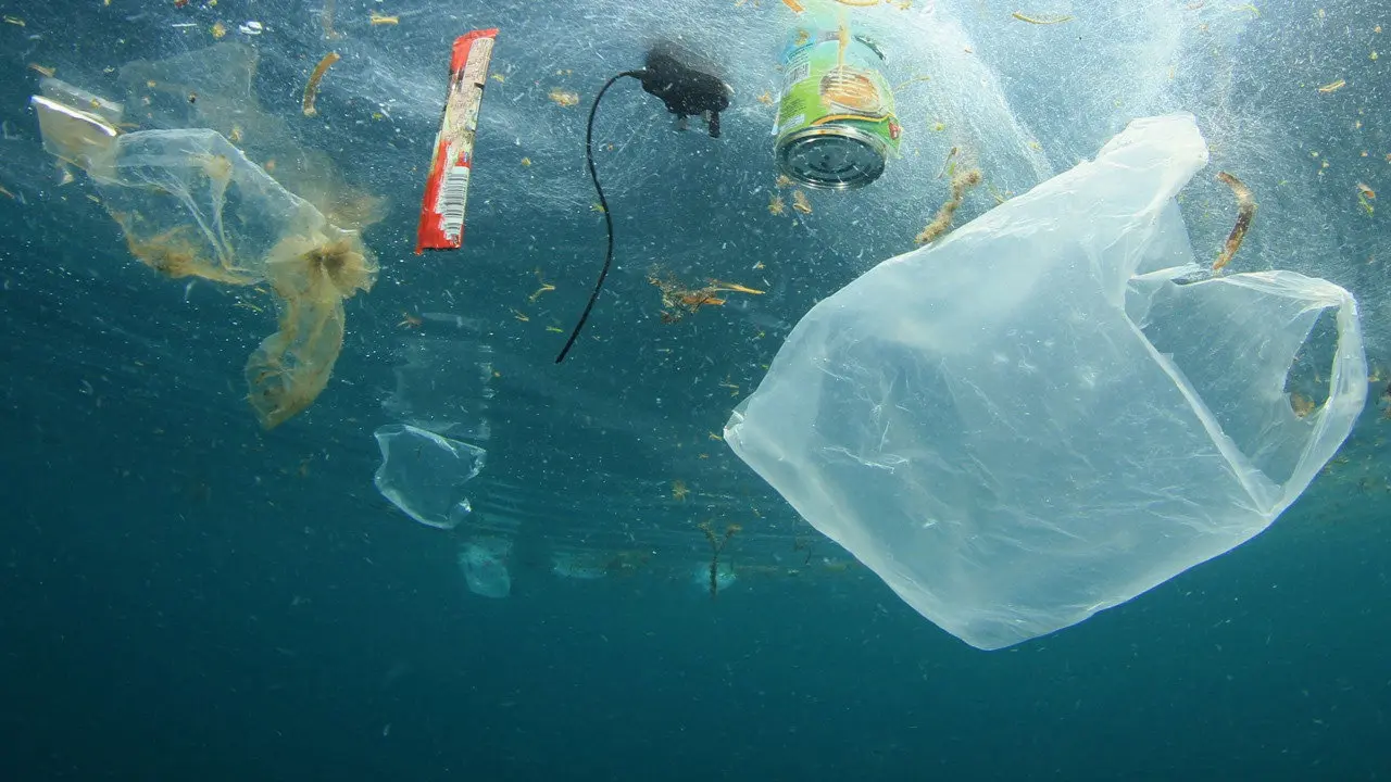 A Plastic Ocean backdrop