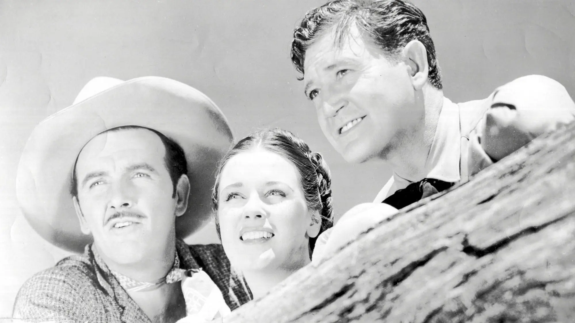 The Roundup backdrop