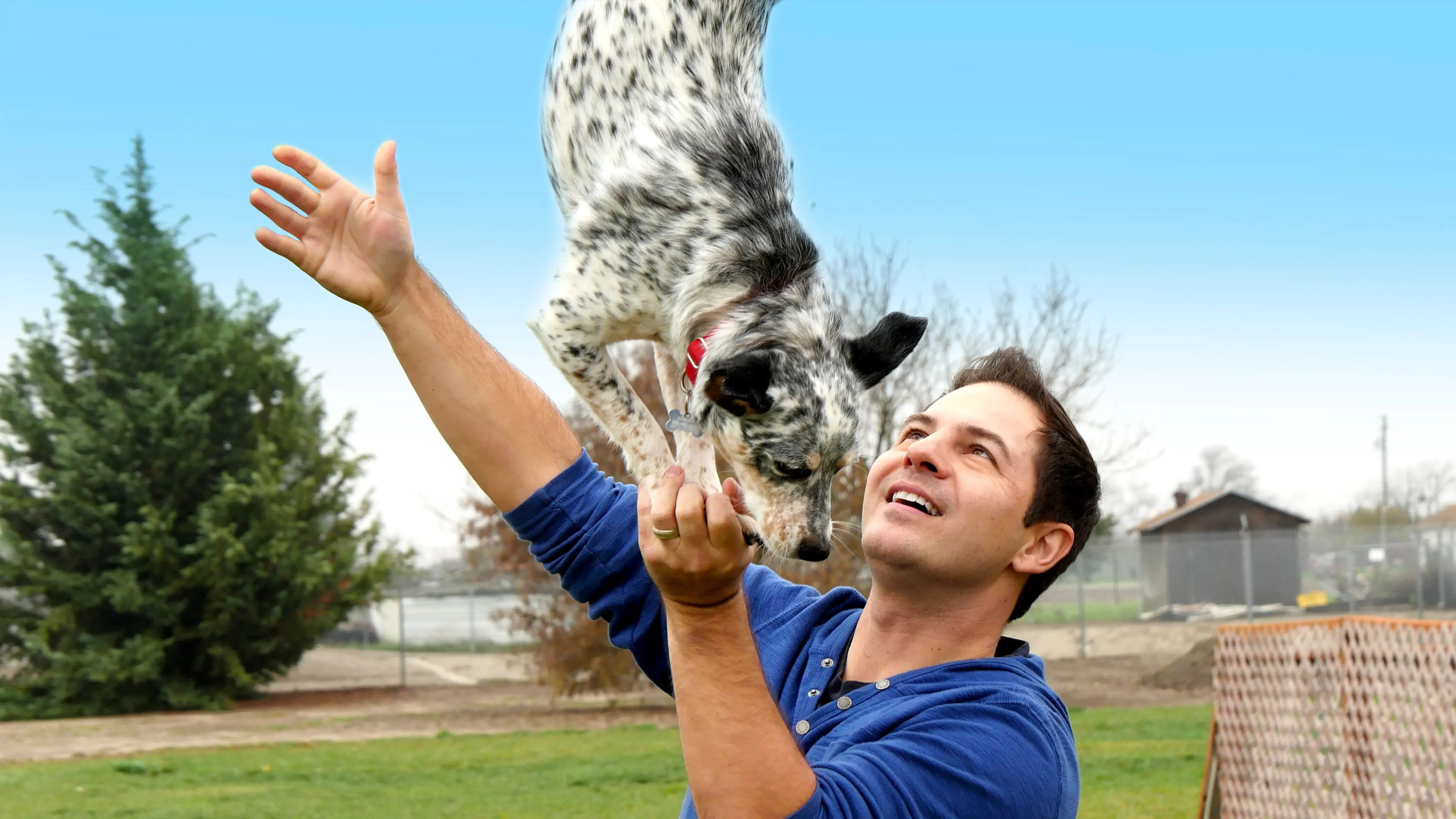 World's Greatest Dogs backdrop