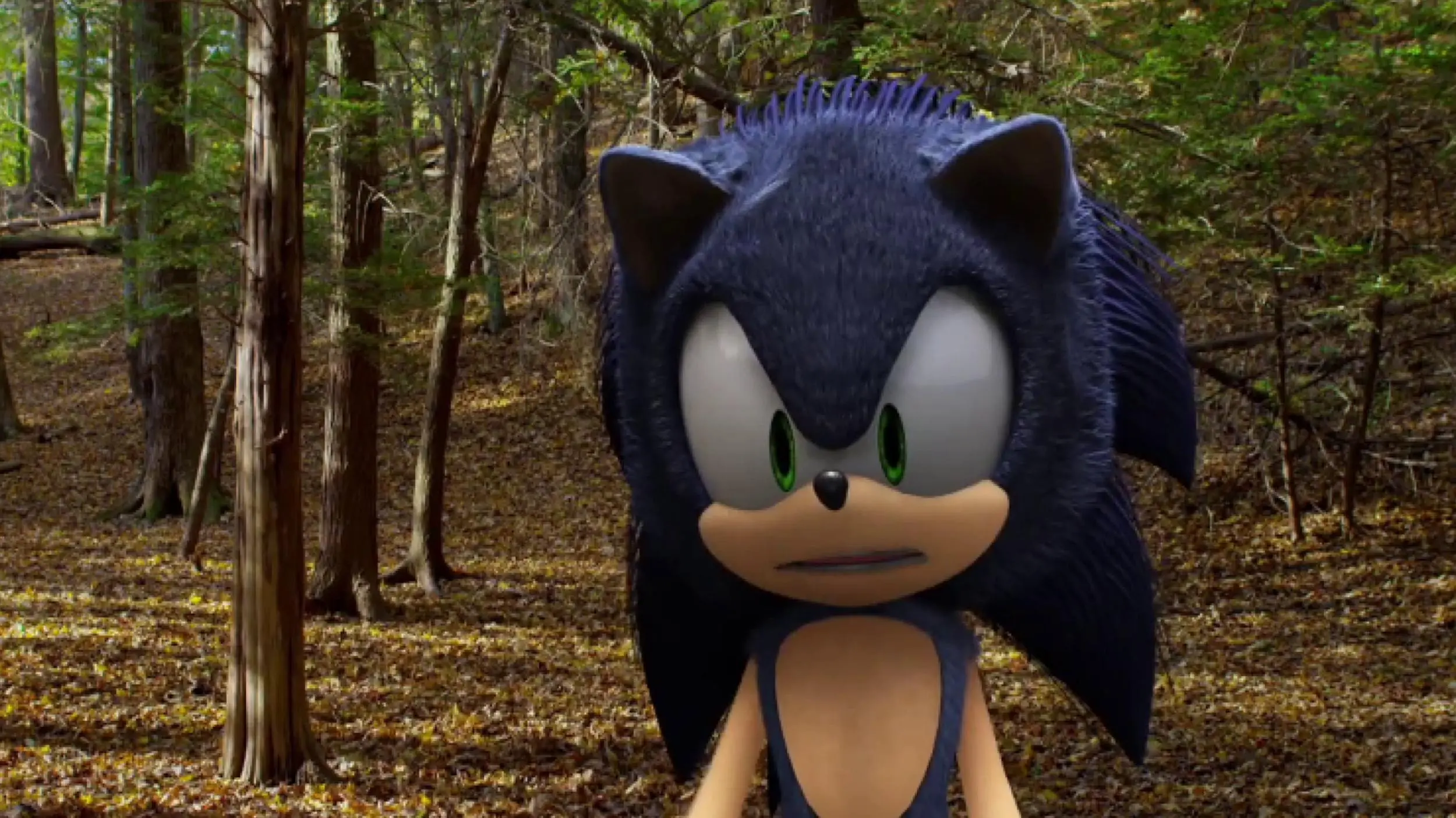 Sonic backdrop