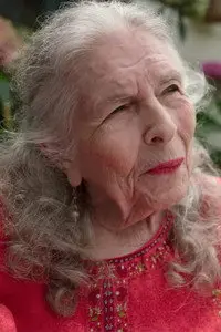 Ann Shulgin