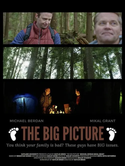 The Big Picture
