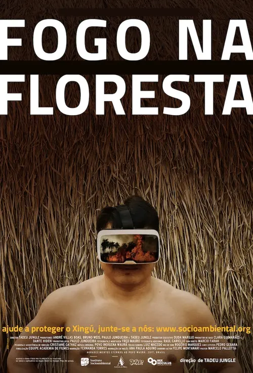 Fire in the Forest