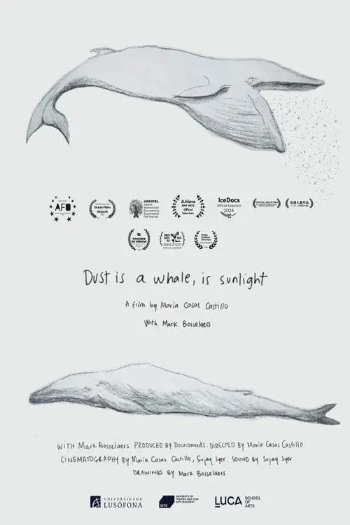 Dust is a Whale, is Sunlight