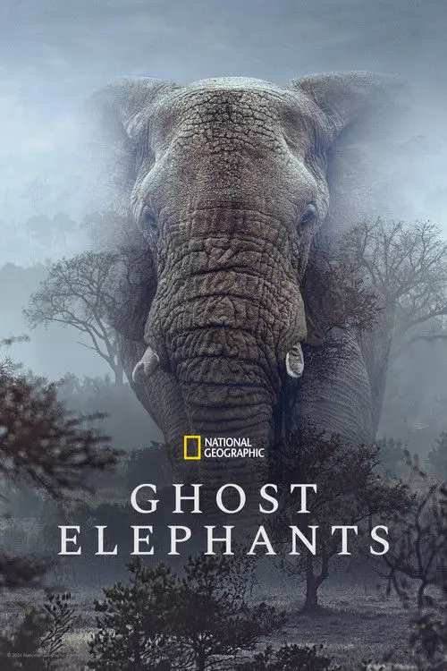 Ghost Elephants poster - Movie from 2026
