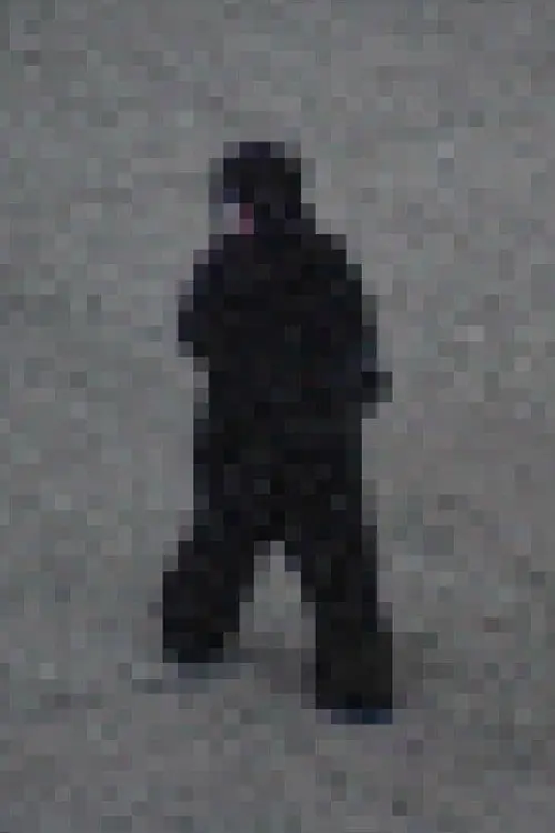 Gorilla Gorilla