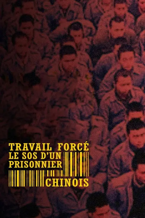 Forced Labour: SOS from a Chinese Prisoner