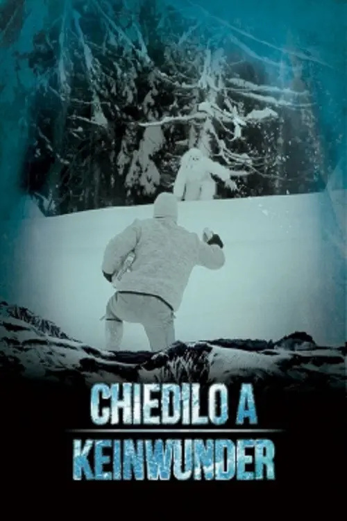 Chiedilo a Keinwunder