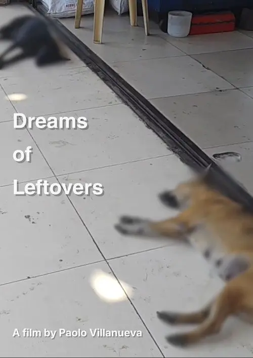 Dreams of Leftovers