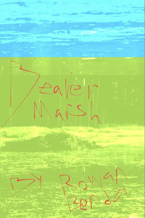 Beaver Marsh